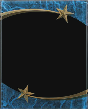 Blue Acrylic Plaque - Blank