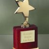 EX022 Star Trophy