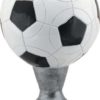 Soccer Ball Trophy RX822K