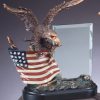 Bronze eagle statue with American Flag with glass engraving plate, RFB805 is 8" x 10" Size, Weighs 5.1 lbs.