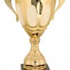 CMC705G Gold Trophy Cup