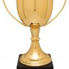 CZC703G Zinc Trophy Cup