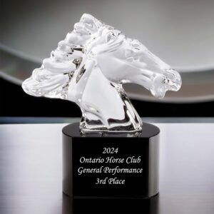 Our Small Crystal Horse Head Award with engraving.