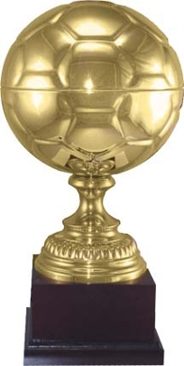 Gold Soccer Ball Trophy 1143