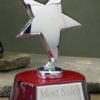 3042C Silver Star Award