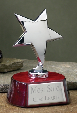 3042C Silver Star Award