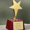 Gold Star Rosewood Award-0