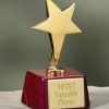 Gold Star Rosewood Award-0