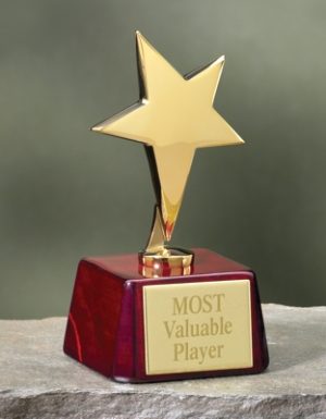 Gold Star Rosewood Award-0