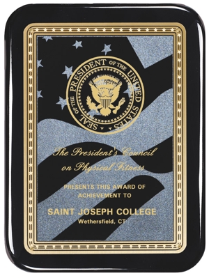 AP48 AP49 Black Plaque With American Flag Engraving Plate