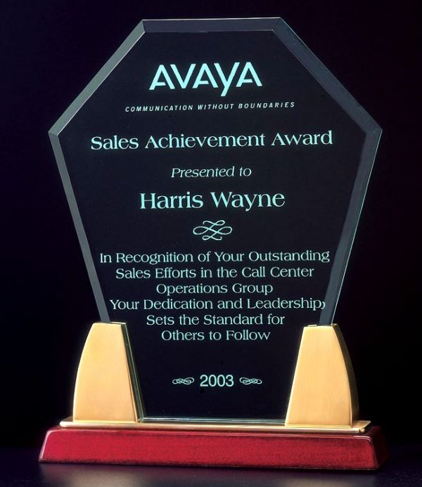 A6542 Hexagon Acrylic Award