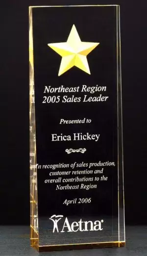 A6595 Acrylic Award