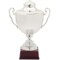 Awards & Trophies
