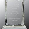 Cry111 Crystal Award