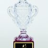 CRY360 Trophy Cup