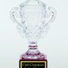 CRY361 Trophy Cup