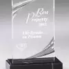 DT60A Acrylic Award - Nouveau