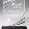 DT60B Acrylic Award - Nouveau