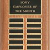 P1696 P1697 Perpetual Plaque
