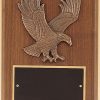 P1784 Plaque - Blank