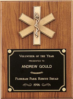 Star of Life Plaque P2930