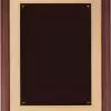 P3554 Plaque - Blank