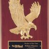 P3749 Eagle Plaque