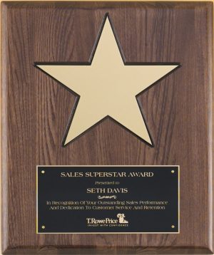 P4135 Star Plaque