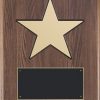 P4135 Star Plaque - Blank