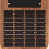 P41 Plaque - Blank