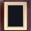 P4270 Plaque - Blank