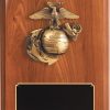 WP224 Blank Marine Plaque