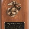 USMC Marine Plaque WP224