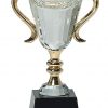 Crystal Trophy Cup CRY039XL-blank