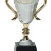 Crystal Trophy Cup CRY039XL-blank