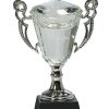 Crystal Trophy Cup CRY052S-blank