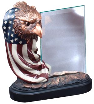 Bronze eagle draped in the American Flag with Glass Engraving Plate, RFB164 is 7.5" x 7" SIze, Weighs 4 lbs