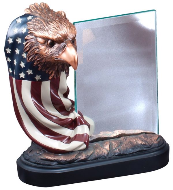 Bronze eagle draped in the American Flag with Glass Engraving Plate, RFB164 is 7.5" x 7" SIze, Weighs 4 lbs