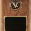 Eagle Medallion Plaque-4184