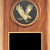 Eagle Medallion Plaque-4183