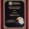 Full Color Eagle Plaque P5058 P5059