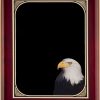 Full Color Eagle Plaque P5058 P5059-blank