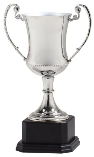 DC4 Trophy Cups