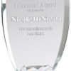 GL181 Diamond Shield Glass Award, Shield shaped glass for engraving with solid glass diamond, mounted on black glass base