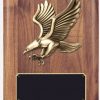 PC522DD & PC522E Eagle Plaque-blank