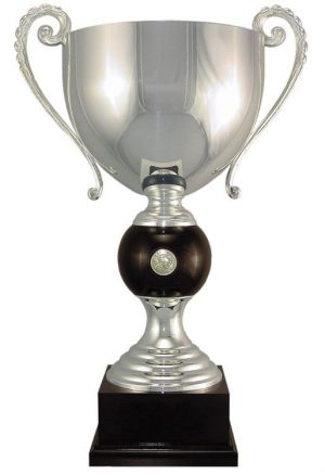 101/1 Silver Trophy Cup