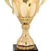 CMC701G Gold Trophy Cup