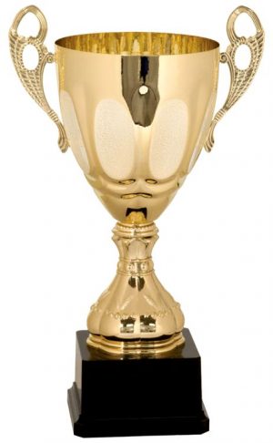 SILVER METAL TROPHY CUP WITH YOUR FREE LOGO 275mm FREE ENGRAVING* 4  AWARD SIZES 