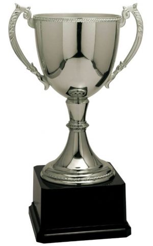265mm *FREE ENGRAVING* SPECIAL VALUE AWARD SCHOOL SILVER TROPHY CUP 185mm 
