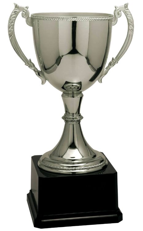 A traditional silver trophy cup mounted on a black base.